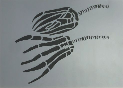 2 Seelilien A4 21x29,7 cmxxx