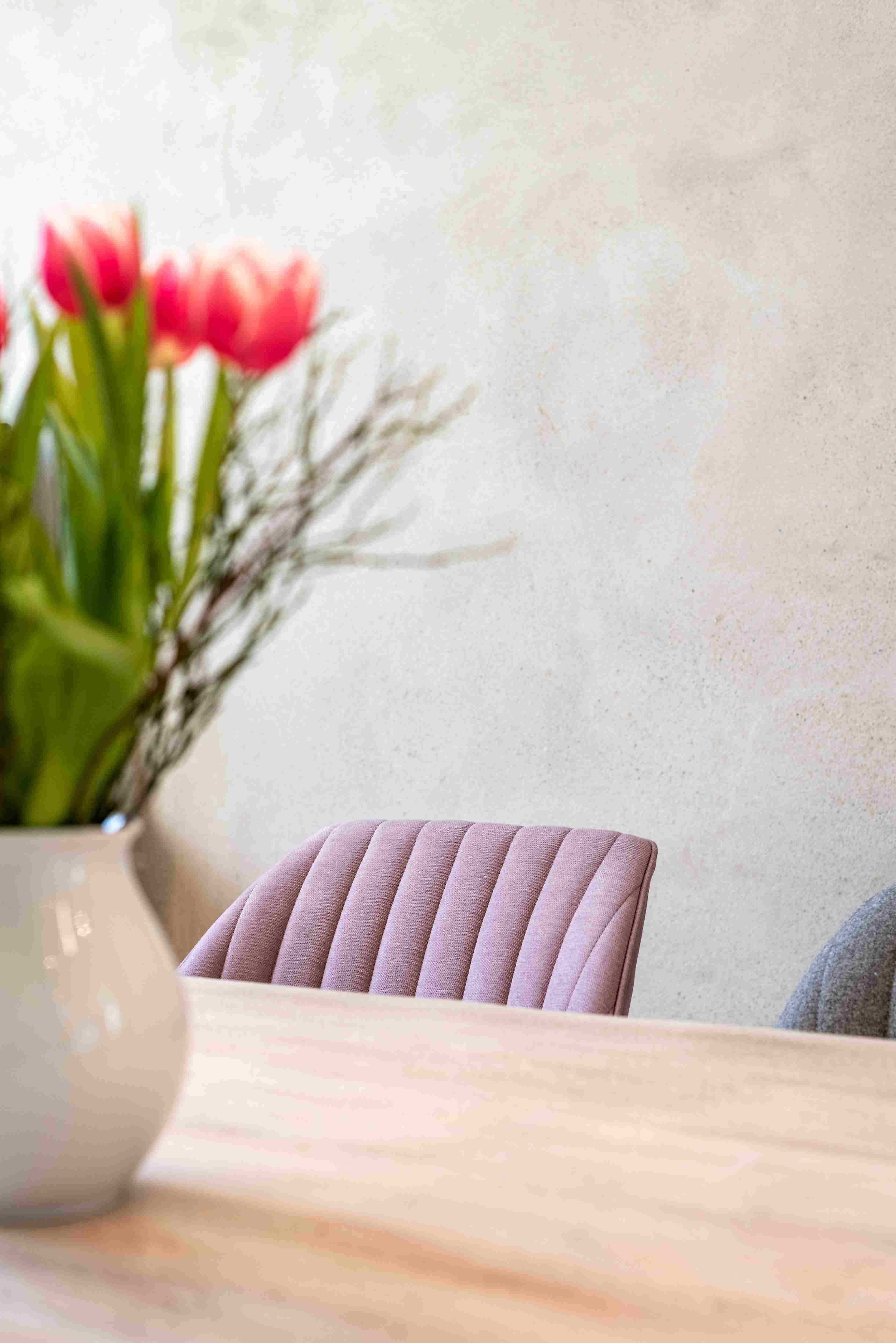 T-PAINT Lehm-Streichputz weiss