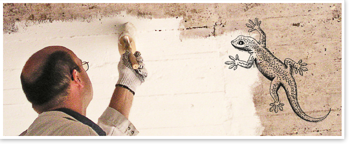 GekkkoSOL VOLL-Korn 1 mm